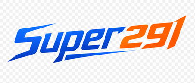 super291 logo